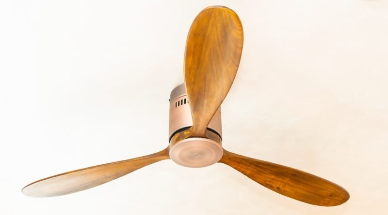 designer ceiling fan in India_0