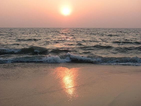 Tourist Places To Visit in Alleppey_3