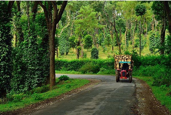 Tourist Places in south india_5