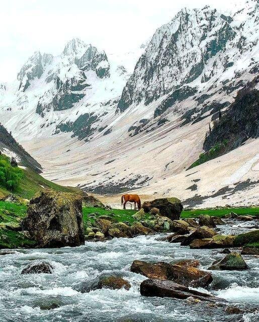 Best Places to Visit in Kashmir_8