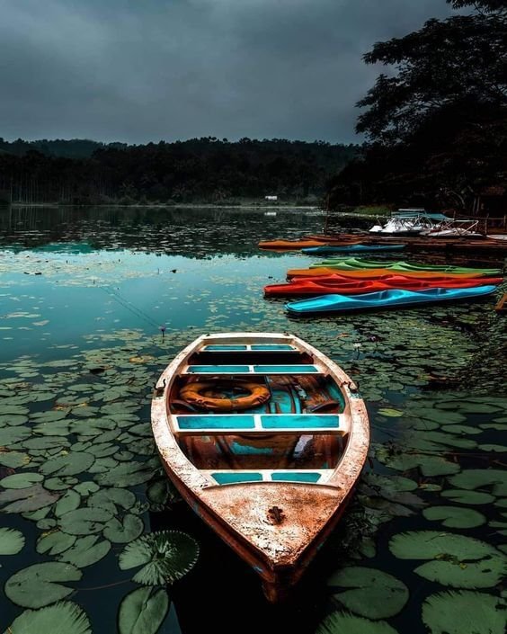 Tourist Places in wayanad_10
