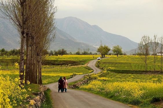 Best Places to Visit in Kashmir_4