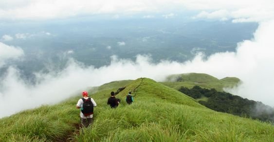 Tourist Places in wayanad_3