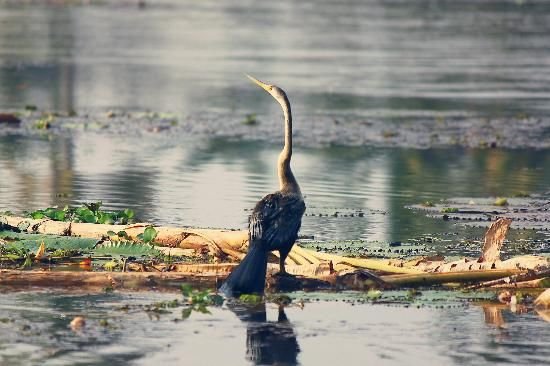 Tourist places in Kumarakom_1
