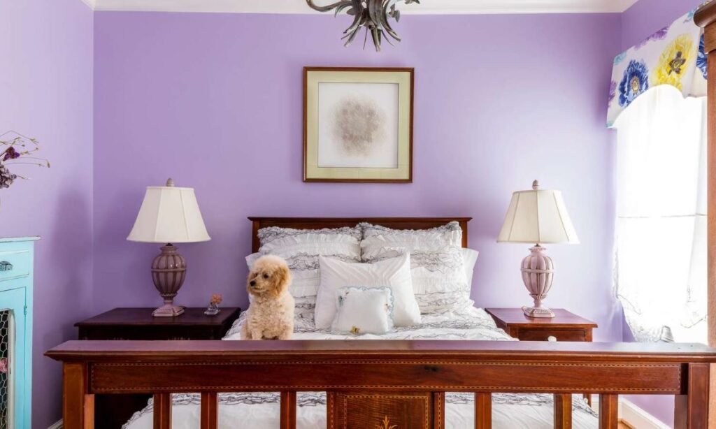 Pastel purple bedroom design with bright and cozy interiors